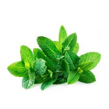 Mint Leaves (Pudina) 100 g
