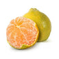 Nagpur Orange (500 - 600) g